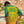 CAMISETA FUTBOL BRASIL