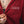 Hoodie con cierre Faith CHILL vinotinto cropped 330gr — algodón con logo Chill script en serigrafía, hoodie femenino streetwear hecho en Colombia