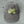 Gorra Washed Chill 25