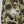 Sudadera Camo CHILL verde baggy — algodón con ribetes blancos y bordado tribal, streetwear hecho en Colombia